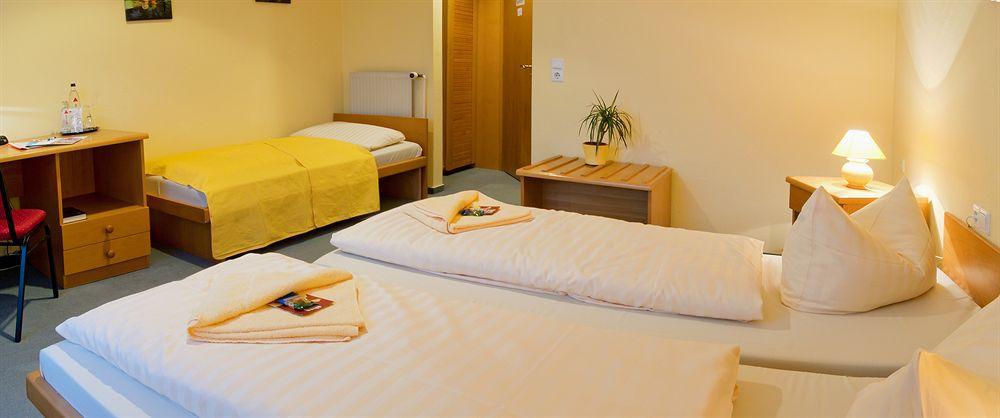 Hotel Garni Zwickau-Mosel Mulsen Ngoại thất bức ảnh